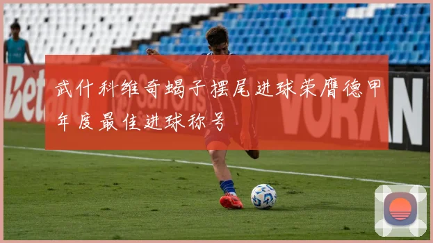 武什科维奇蝎子摆尾进球荣膺德甲年度最佳进球称号