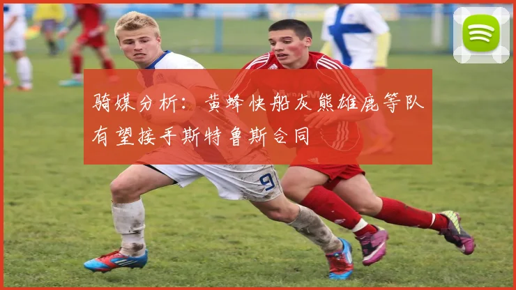 骑媒分析：黄蜂快船灰熊雄鹿等队有望接手斯特鲁斯合同