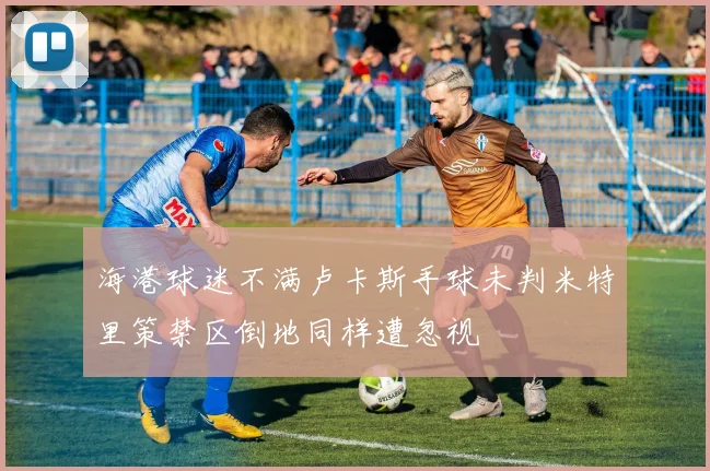 海港球迷不满卢卡斯手球未判米特里策禁区倒地同样遭忽视